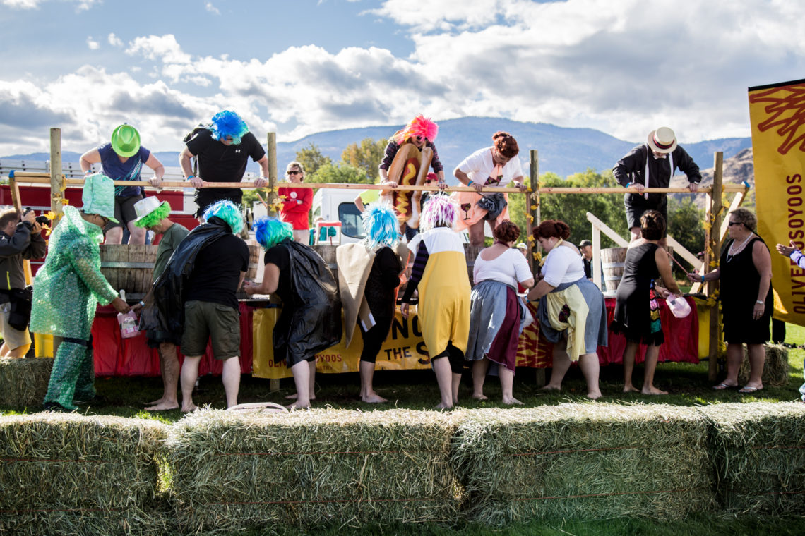 Stomp Grapes at Festival of the Grape Oliver Osoyoos Wine Country